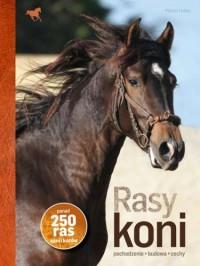 RASY KONI TW