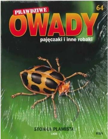 PRAWDZIWE OWADY, PAJĘCZAKI NR 64
