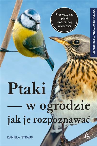 PTAKI W OGRODZIE - JAK JE ROZPOZNAWAĆ