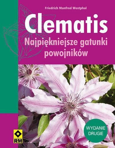 Clematis Wyd. II RM