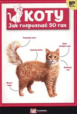 Koty. Jak rozpoznać 50 ras