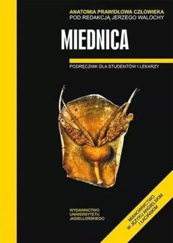 Anatomia prawidłowa człowieka. Miednica. Podręczni