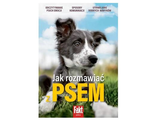 Jak rozmawiać z psem