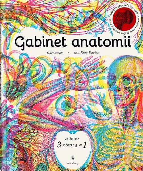 GABINET ANATOMII