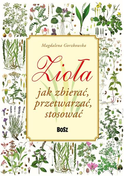 ZIOŁA. JAK ZBIERAĆ, PRZETWARZAĆ, STOSOWAĆ