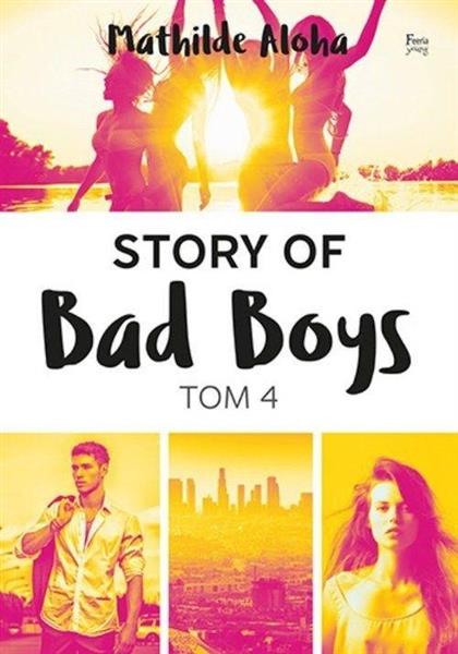 STORY OF BAD BOYS