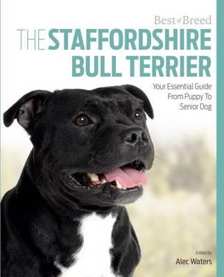 BEST OF BREED STAFFORDSHIRE BULL TERRIER