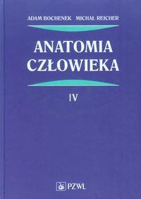 ANATOMIA CZŁOWIEKA TOM 4