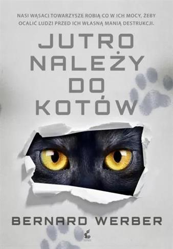 Jutro należy do kotów