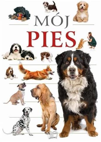 Mój pies