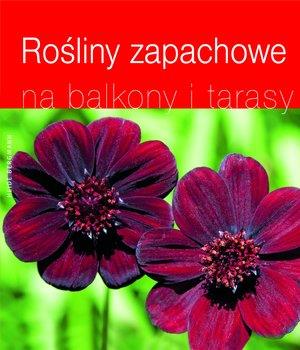 ROŚLINY ZAPACHOWE NA BALKONY I TARASY