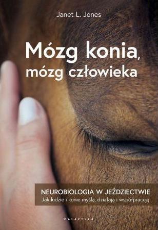 MÓZG KONIA, MÓZG CZŁOWIEKA. NEUROBIOLOGIA W