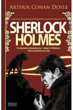 SHERLOCK HOLMES. STUDIUM W SZ