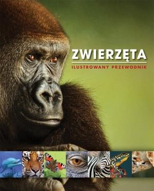 ZWIERZĘTA. ILUSTROWANY PRZEWODNIK