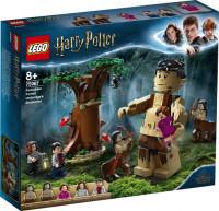 LEGO HARRY POTTER. 75967 ZAKAZANY LAS: SPOTKANIE?