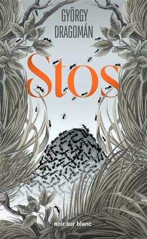 Stos