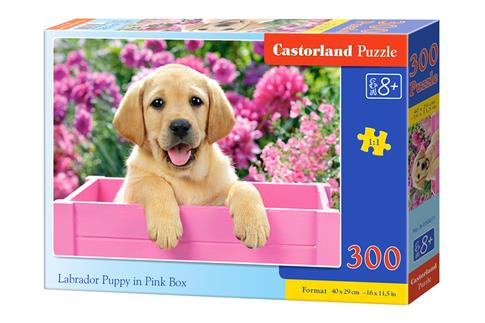 Castorland, puzzle, Labrador Puppy in Pink Box, 30