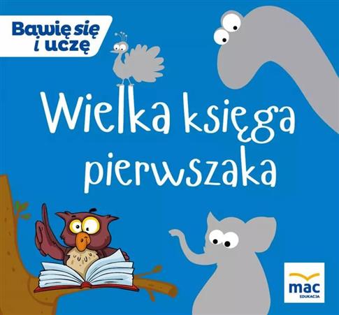 Bawię się i uczę. Wielka księga pierwszaka