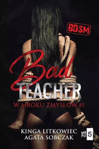 Bad Teacher. W mroku zmysłów