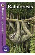 RAINFORESTS: LEVEL 4