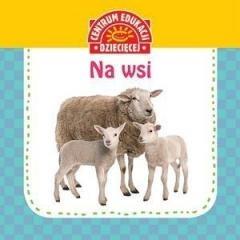 NA WSI