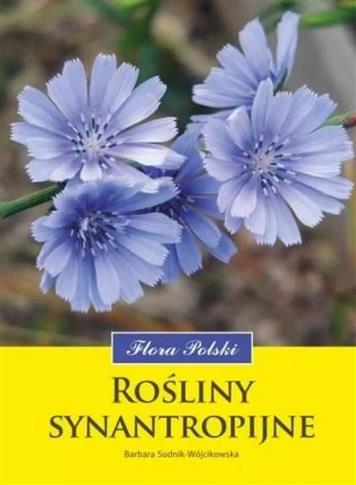 Rośliny synantropijne. Flora Polski