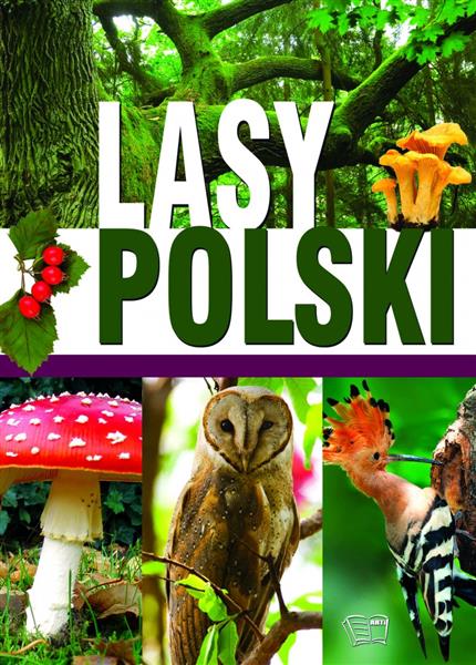 LASY POLSKI