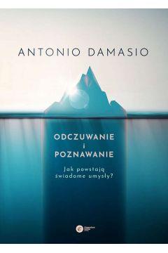 ODCZUWANIE I POZNAWANIE. JAK POWSTAJĄ ŚWIADOME UMY