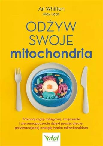 Odżyw swoje mitochondria. Pokonaj mgłę mózgową,
