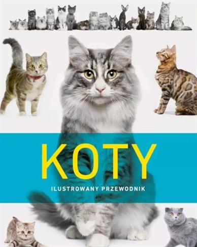 KOTY. ILUSTROWANY PRZEWODNIK