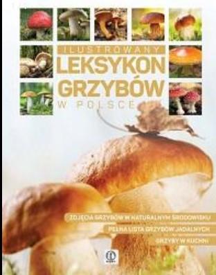 ILUSTROWANY LEKSYKON GRZYBÓW W POLSCE