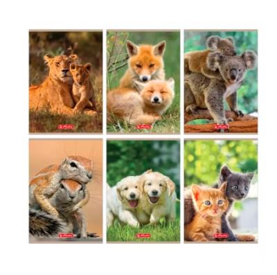 ZESZYT A5 32 KARTKI W KRATKĘ ANIMALS, MIX WZORÓW