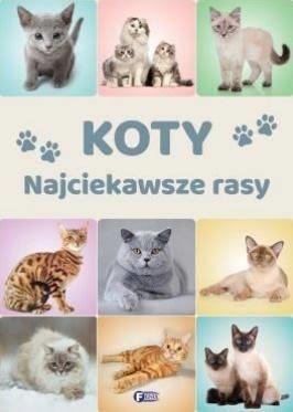 KOTY. NAJCIEKAWSZE RASY