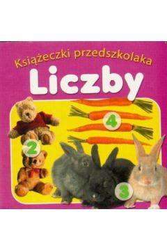 Książeczka przedszkolaka. Liczby