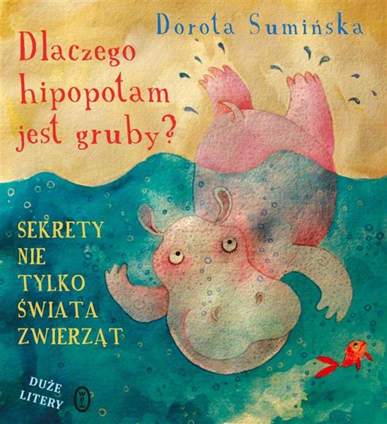 DLACZEGO HIPOPOTAM JEST GRUBY SEKRETY ..