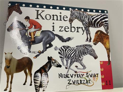 Konie i zebry - niezwykły świat zwierząt