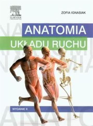 Anatomia układu ruchu