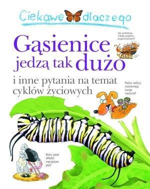 CIEKAWE DLACZEGO - GĄSIENICE TAK DUŻO JEDZĄ