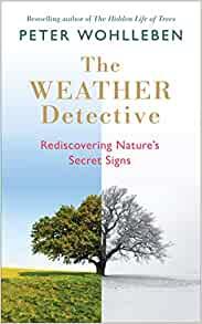 THE WEATHER DETECTIVE: REDISCOVERING NATURE?S