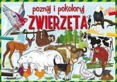 ZWIERZĘTA POZNAJ I POKOLORUJ