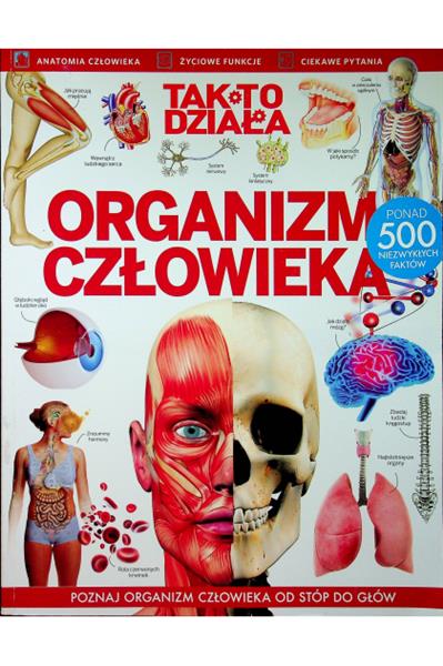 TAK TO DZIAŁA ORGANIZM CZŁOWIEKA