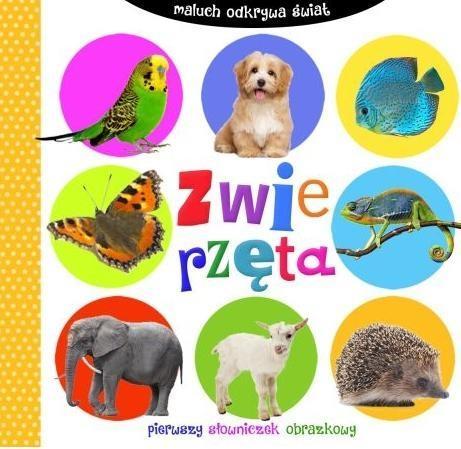 ZWIERZĘTA MALUCH ODKRYWA ŚWIAT