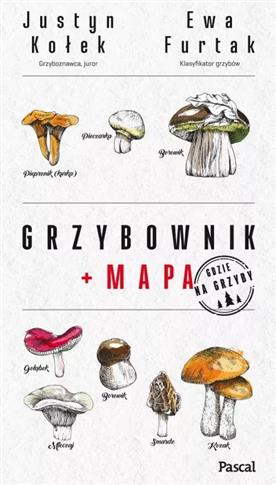 Grzybownik + mapa