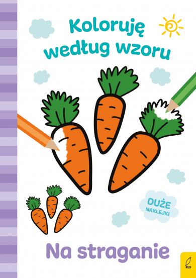 KOLORUJĘ WEDŁUG WZORU. NA STRAGANIE