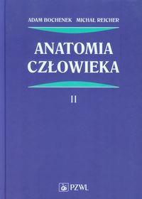 ANATOMIA CZŁOWIEKA TOM 2