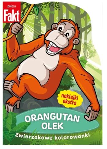 ORANGUTAN OLEK