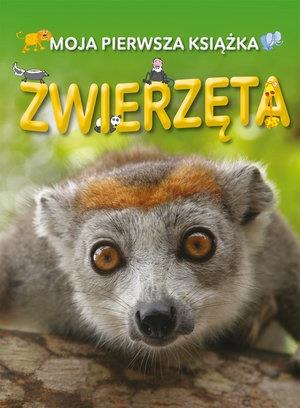 ZWIERZETA