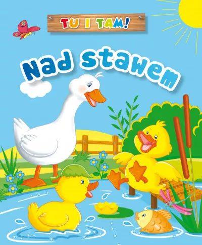 NAD STAWEM