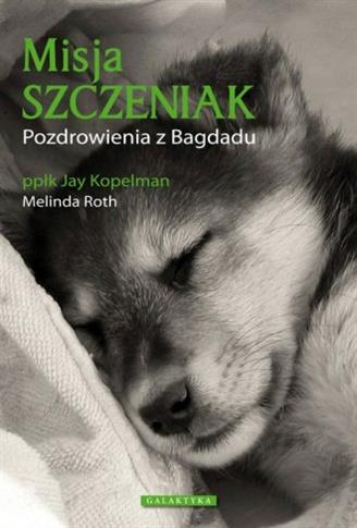 Misja Szczeniak. Pozdrowienia z Bagdadu