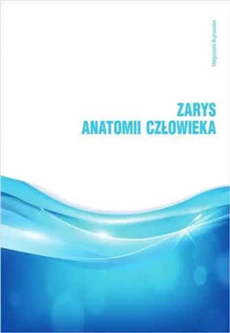 Zarys anatomii człowieka